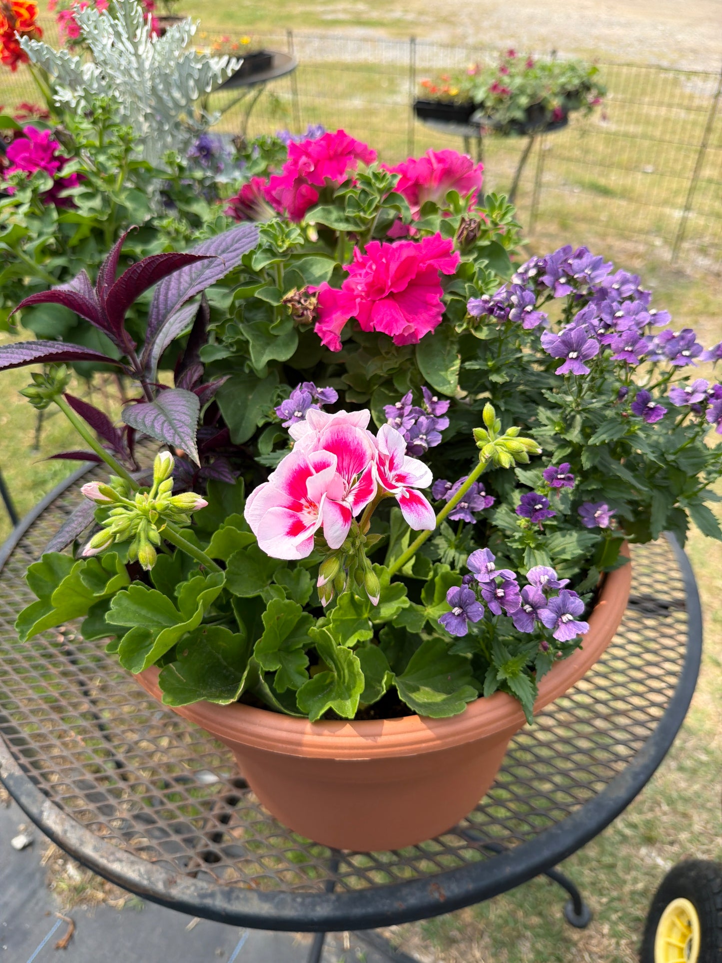 12” Combo Pots
