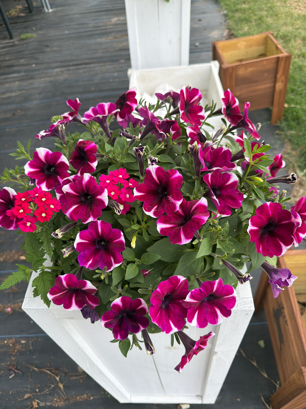 10” Combo Pots
