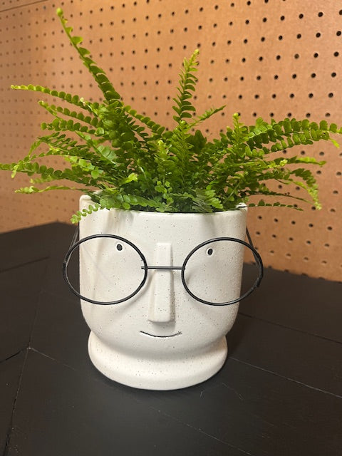 Face Planter